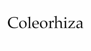 How to Pronounce Coleorhiza [upl. by Laureen]