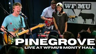 Pinegrove Live at WFMU 2016  Full Session [upl. by Haroppizt836]