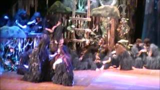 Tarzan the Musical Act 1 prologue and scene 1 [upl. by Aniahs58]