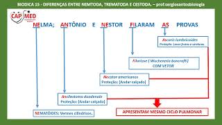 BIODICA15 DIFERENÇAS ENTRE NEMATODA TREMATODA E CESTODA [upl. by Worsham]