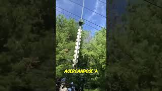 Podando árboles desde el aire ¡Increíble técnica [upl. by Drapehs42]