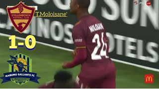 Stellenbosch FC 10 Marumo Gallants FC  Betway Premiership  All Goals  Highlights [upl. by Adnovaj509]