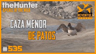 CAZA MENOR DE PATOS  TIRACO A PORRÓN MOÑUDO ECLIPSE CON MILLER CALIBRE 10  🦌theHunter CotW 535 [upl. by Notsrik]