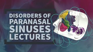 PARANASAL SINUSES lecture 1 Maxillary and Frontal sinus detailed ANATOMY made easy [upl. by Greiner915]