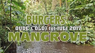 Burgers Zoo Oude Old Mangrove tm juli 2017 [upl. by Lexis]