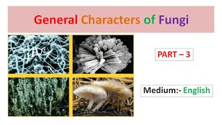 General Characters of Fungi Part3 English [upl. by Donatelli829]