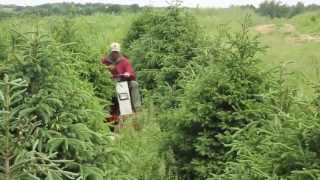 Tree Farm Mowing with Ventrac [upl. by Stavros]