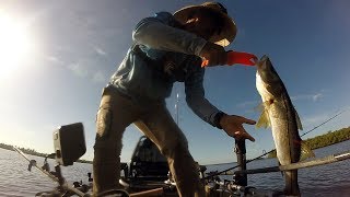 Chokoloskee FL Kayak Fishing [upl. by Melloney18]