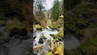 Triberg Waterfall In autumn 🍂 shorts blackforest indiansingermany vlog travel halloween [upl. by Owades935]