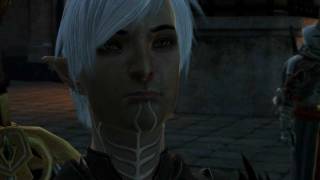 Dragon Age 2 Fenris Romance 13 Endgame goodbyes Templars side v2 Passionate kiss [upl. by Ihsar]