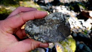 Prospecting On This Creek Reveals Visible Gold [upl. by Nyladgam]