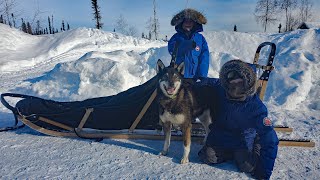 Winter Camping in Alaska with a Sled Dog Team [upl. by Stephannie]