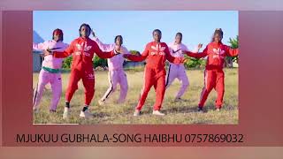 Mjukuu Gubhala Song Haibhu Official Audio [upl. by Hock421]