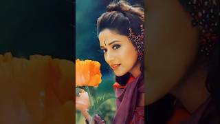 SO Beautiful actress sridevi madhuri dixit ❤️🥀 Status trending bollywood song love [upl. by Eilitan]