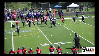 Downriver Cobras Elite Cobras 10U vs Flint 475 Elite Game [upl. by Haram]