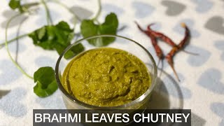 Brahmi Leaves Chutney  Ondelaga soppina Chutney  Timare chutney Recipe  Yathpaani Chutney [upl. by Merrili]