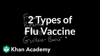 2 Types of Flu Vaccine [upl. by Elag]