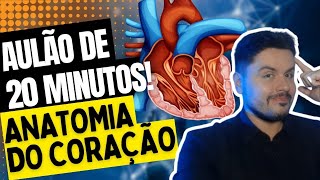 Anatomia do Coração [upl. by Hogen]