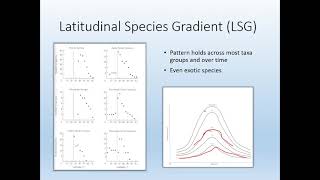 04C Latitudinal species gradient [upl. by Alaham689]