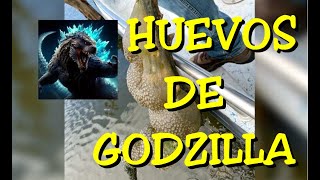 LOS DESVELADOS  HUEVOS DE GODZILLA [upl. by Icart]