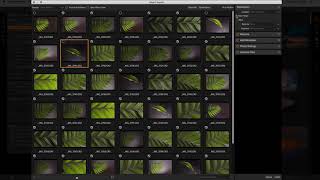 Easily Import Your Photos – ON1 Photo RAW [upl. by Drareg]