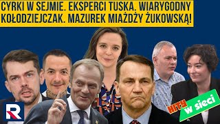 Hity w sieci  Cyrki w Sejmie Eksperci Tuska Wiarygodny Kołodziejczak Mazurek miażdży Żukowską [upl. by Blackwell]