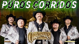 Los Originales De San Juan🤠Las Mejores Canciones de 2024  Mix de Puros Corridos  Álbum Completo [upl. by Macmillan]