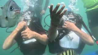 Tarkarli beach scuba diving group [upl. by Einberger]