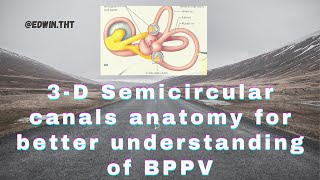 3D Semicircular canals anatomy for better understanding of BPPVs pathophysiology [upl. by Maillliw]