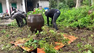 Help single mother clean up overgrown garden  Mowing the lawn Satisfying transformation [upl. by Enamrahc]