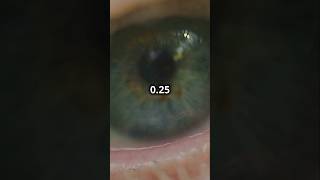 What Happens in 025 Seconds After our Eye Blinks facts [upl. by Helli]