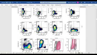 Pure Erythroid Leukemia [upl. by Aspia]