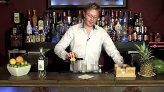 How to make a Gin and Tonic GampT Cocktail  Drink recipes from The One Minute Bartender [upl. by Eimot]