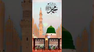 Sarware ambiya tajdare haramholyprophetﷺ duet salleallahualaihiwassallam [upl. by Socem]