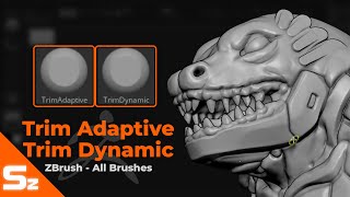 Trim Adaptive and Trim Dynamic Brushes ZBrush All Brushes [upl. by Anayra]