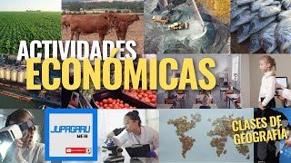 Las Ramas de Actividad Económica Fundamentos de la Economía Global  Clases de Geografía [upl. by Jewell]