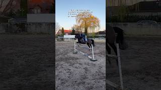 Er hatte einfach bei allem Spaß 🥰equestrian horse jumping horserider [upl. by Lidia]