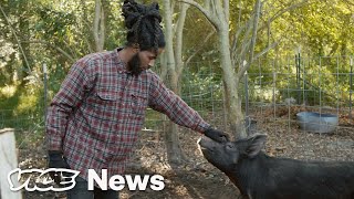 The Young Black Farmers Defying A Legacy of Discrimination [upl. by Attennaj]