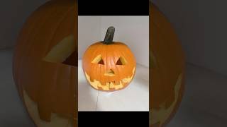 pumpkin 🎃 pumpkincarving pumpkins [upl. by Chickie]