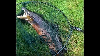 River Derg Atlantic Salmon fishing 19 Sep 2017 N Ireland Foyle  Mourne system [upl. by Aetnahc]