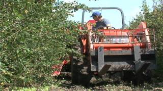 Last Mountain Berry Farm  A Saskcess Story [upl. by Wylie]