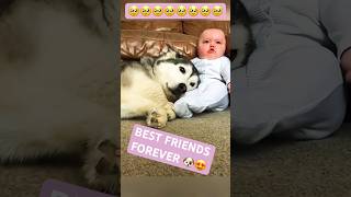 😍Dogs love children ❤️🐶 doglover dog dogs doglovers shortsvideo short fypシ゚viral [upl. by Moazami]