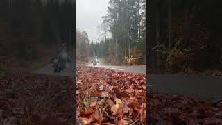 Zweden Sweden TET Trans European Trail BMW R125GSA Fall Authumn [upl. by Stent577]