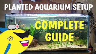 PLANTED AQUARIUM SETUP Complete Guide To A Soil Planted Tank [upl. by Ahsaeit]