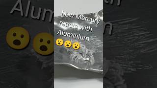 Mercury Hg reacts with Aluminium Al 😮 😱 chemistry chemistrynotes science sciencefacts cool [upl. by Aronle675]