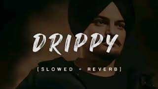 Drippy By Sidhu Mossey Wala  SlowampReverb alibhaivlog [upl. by Mohun113]