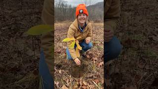 Habitat management on the new farm offgridliving nativeplants ecology [upl. by Eyr608]