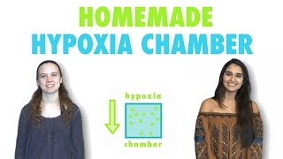 Homemade Hypoxia Chamber [upl. by Rosmarin]