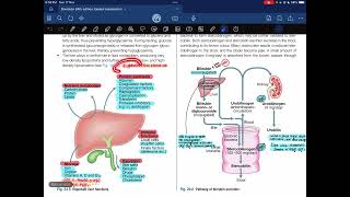 Hepatology 5th6th lecture Davidson 24th edition Medicine [upl. by Arielle455]