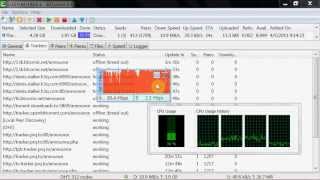 Bittorrent speed test  over 99Mbps of download speed [upl. by Nicholas958]